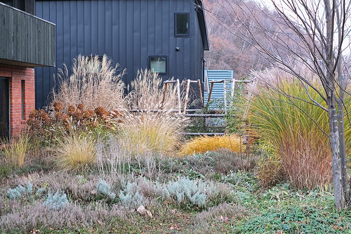 札幌のハーブとグラスのガーデンの11月中旬頃 風情のある枯れ庭になる