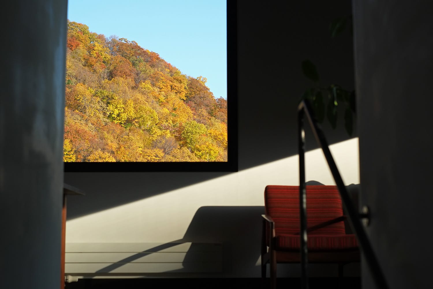 神社山の紅葉の彩りを切り取る窓