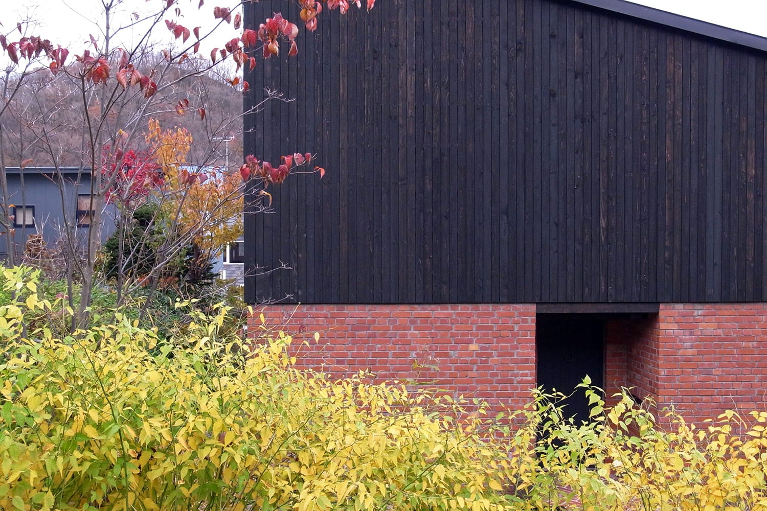 赤レンガ積みと墨色板張りの外壁とヤマブキの黄葉