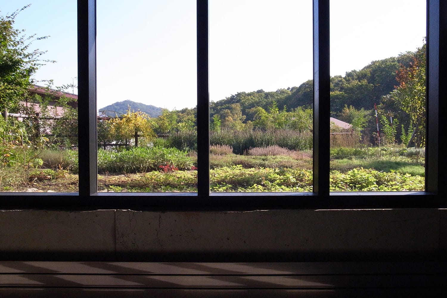 連続窓から望める庭とその奥に円山