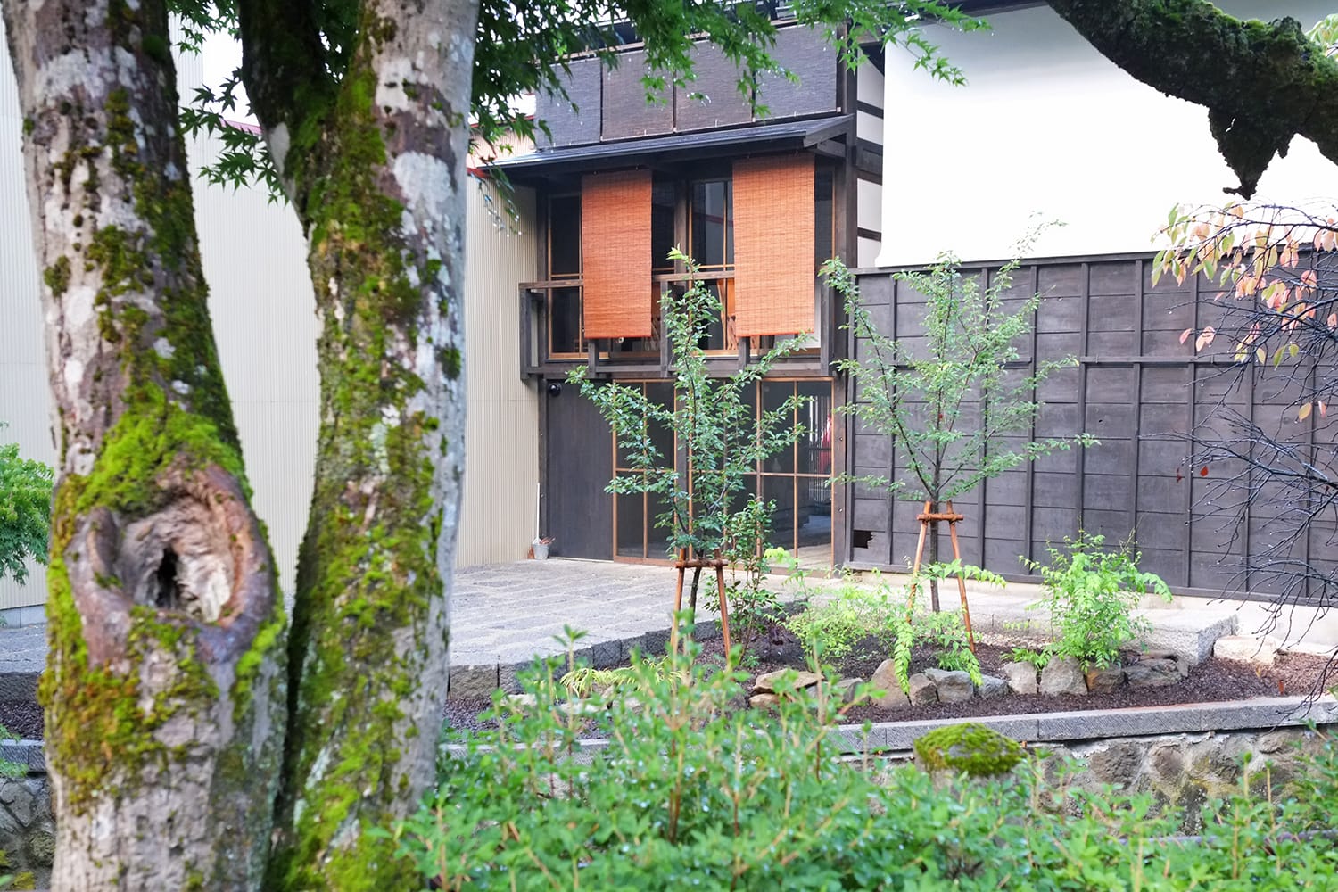柿渋塗りの簾が掛かる再生された町家と東山白山神社の屋台蔵と江名子川沿いの草木の緑