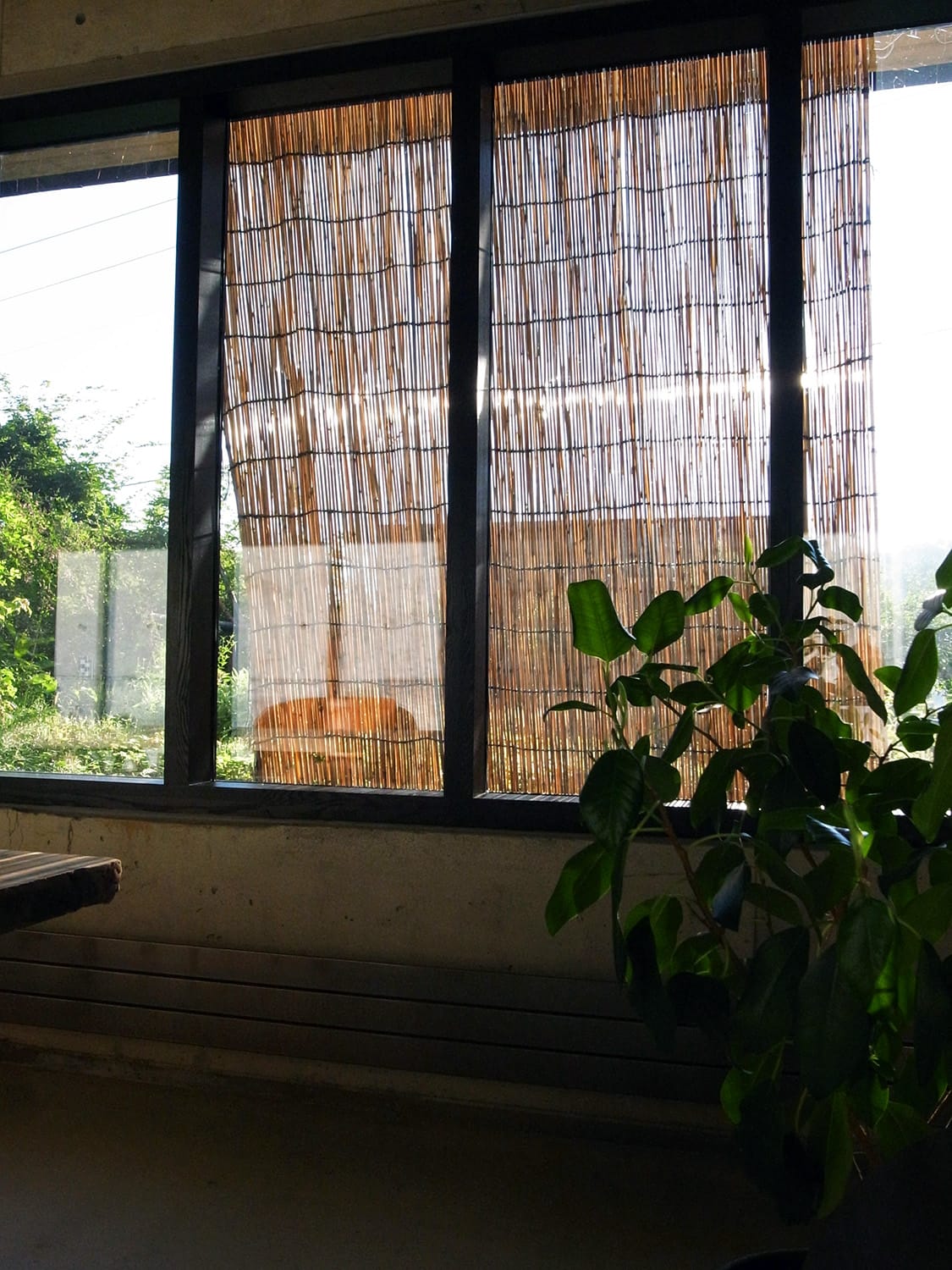 連続窓の前に立て掛けられた葦簀（よしず）を室内から見る