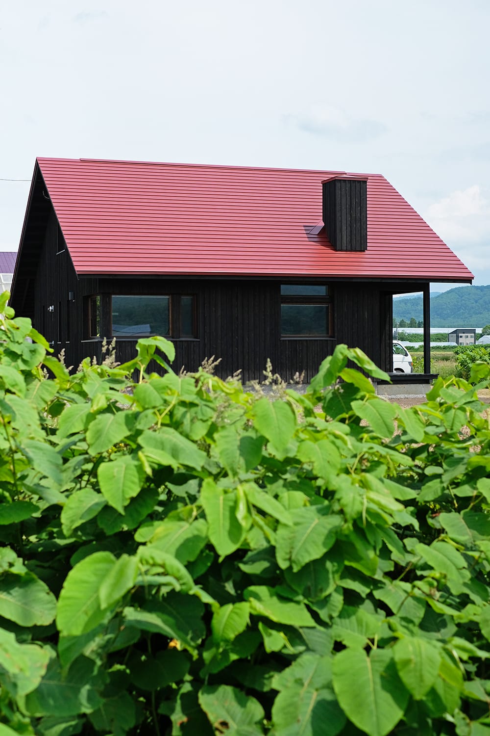 赤い屋根と黒い板壁の家と草 倶知安の農家の家