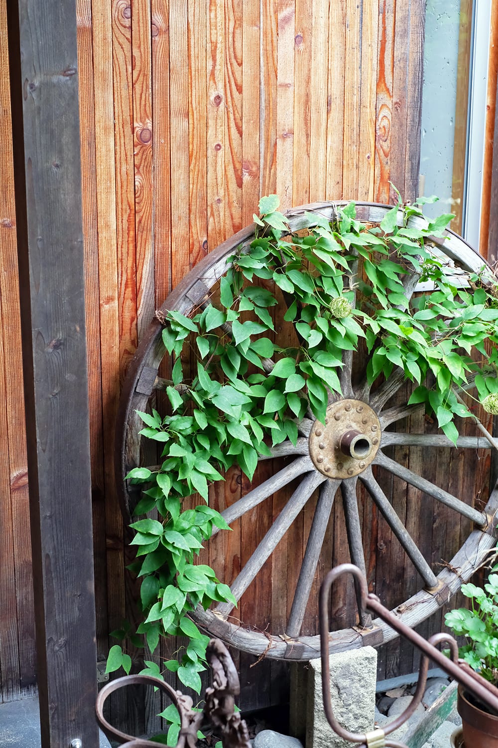 MEON農苑（ミオンのうえん）の木製車輪に絡んだクレマチス