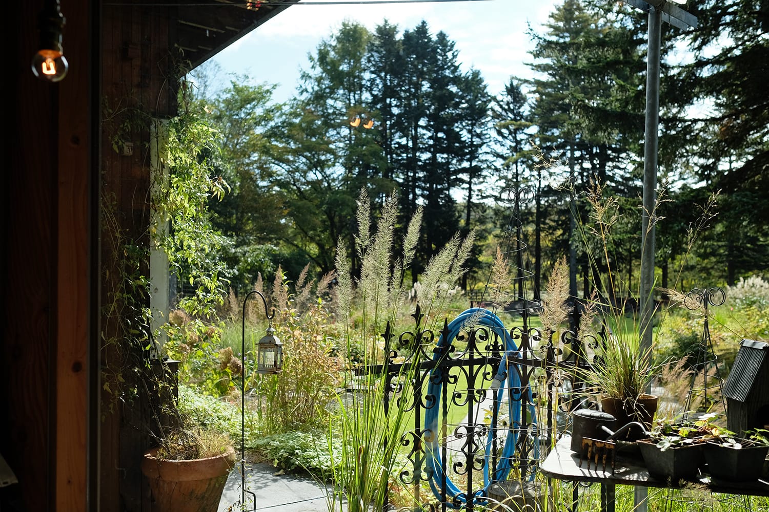 ミオン農苑エシカルキッチンカフェの窓辺席から望む秋の庭
