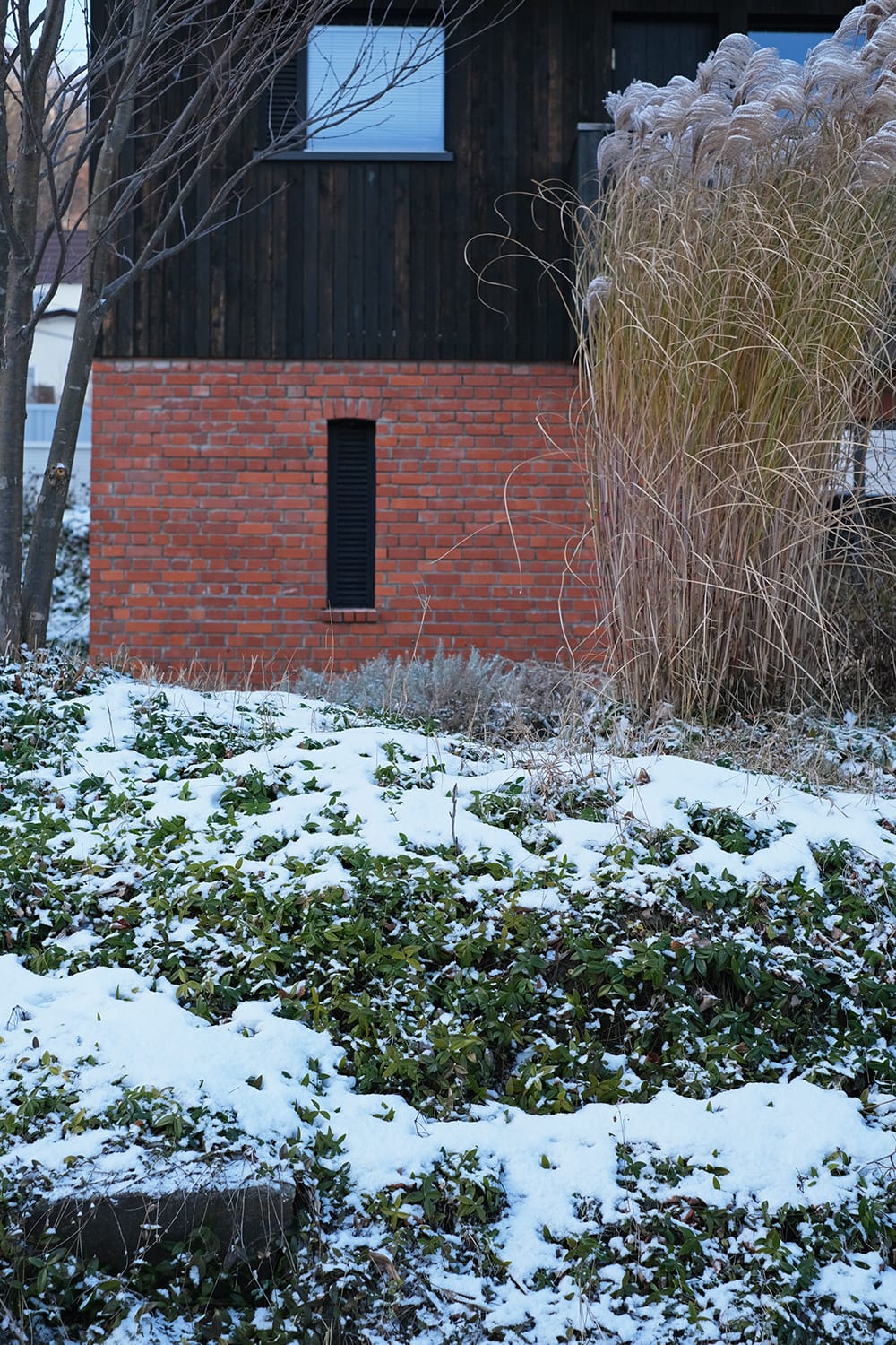 黒い板壁と赤レンガ壁とビンカミノールに積もる雪の庭
