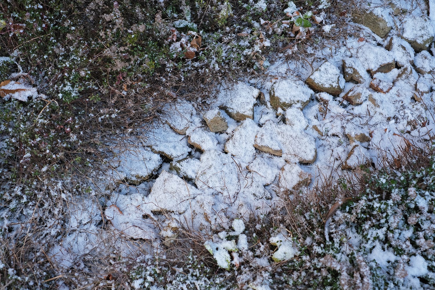庭の雨垂れ石に積もる雪