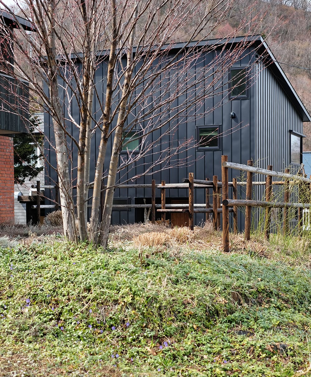 カツラと焼き丸太の木柵のある庭