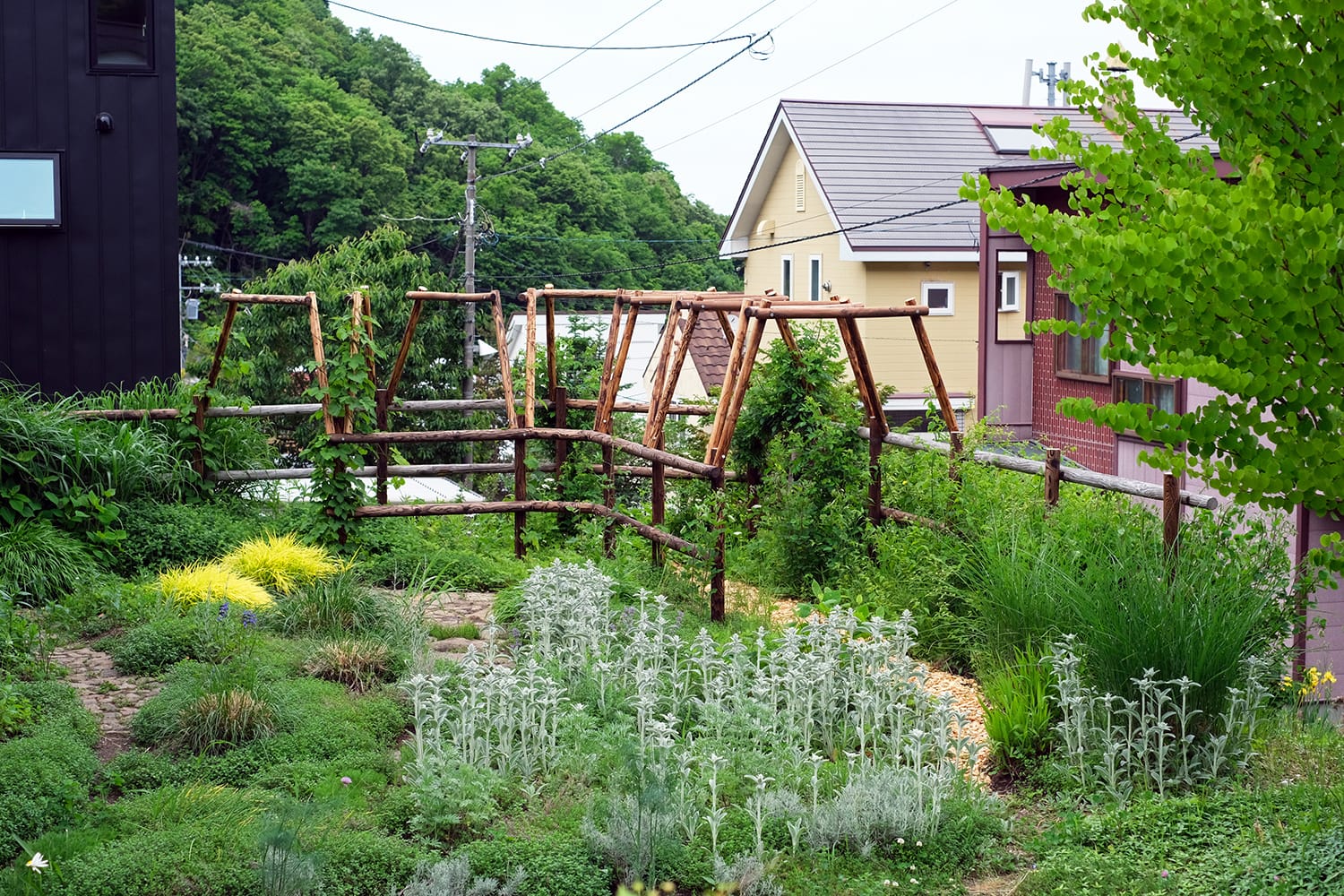 札幌の初夏のガーデン（初夏の庭）