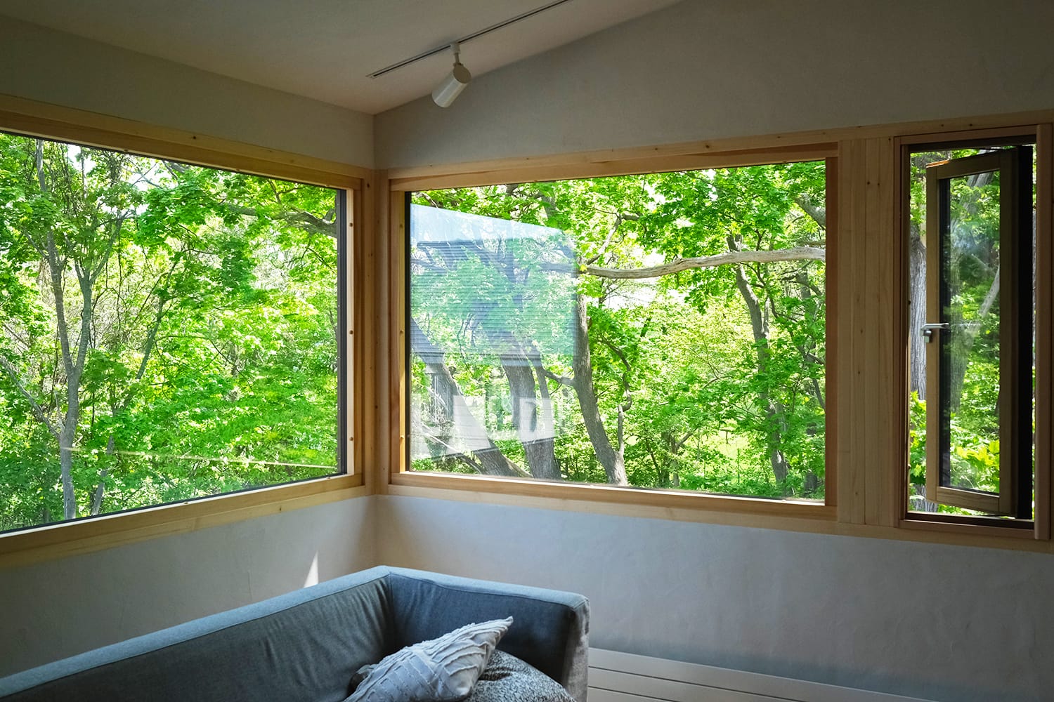 森の家の窓の風景