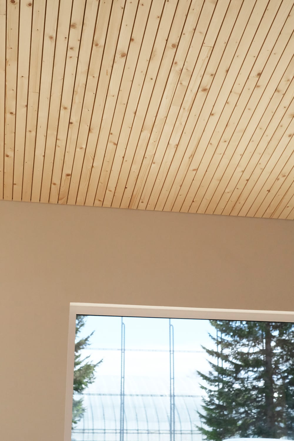 トドマツ小割り板張りの天井