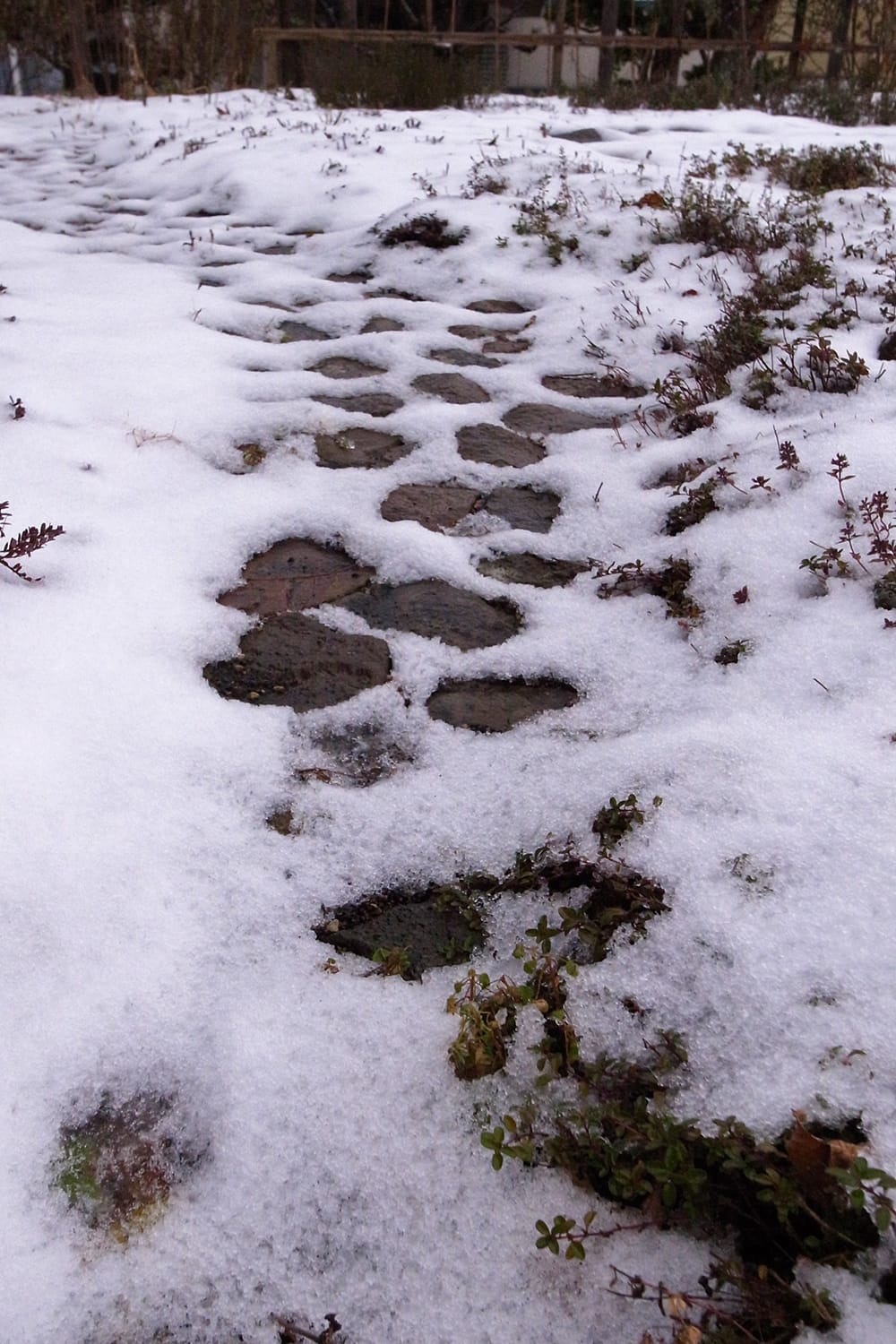 石の小径が初冬の雪で埋まる