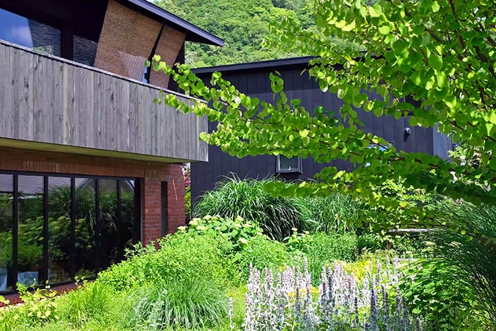 北海道札幌のメドウガーデン草いきれ夏の庭
