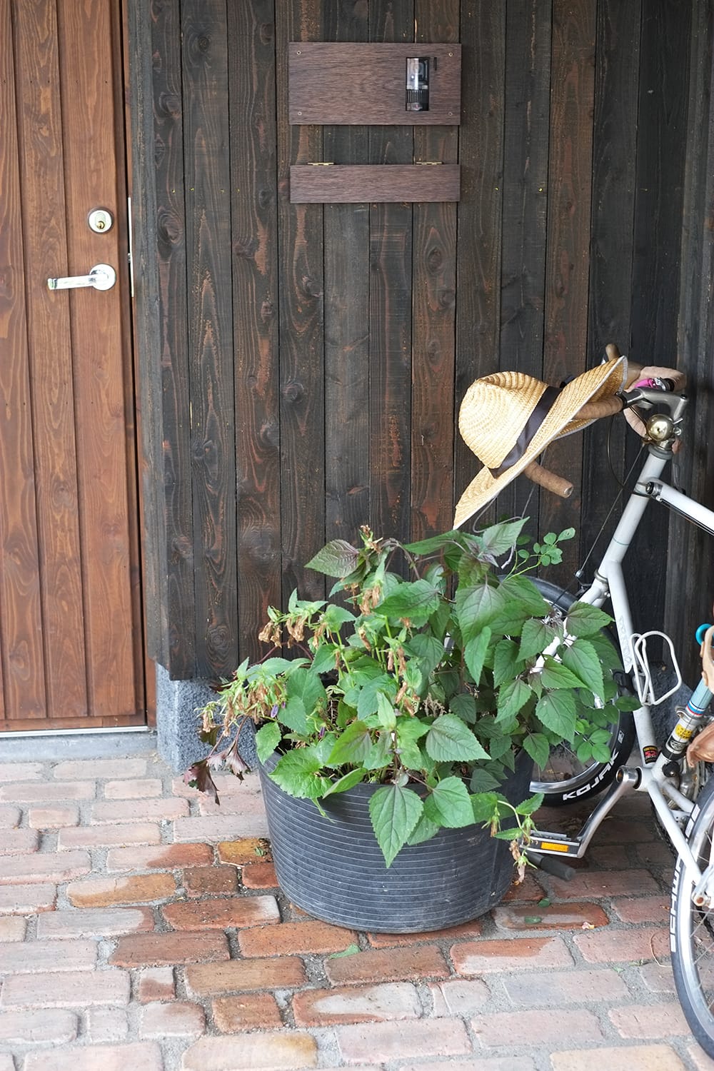 北海道 十勝産のカラマツ無垢板張りの壁とレンガ敷きの玄関とボリジの寄せ鉢