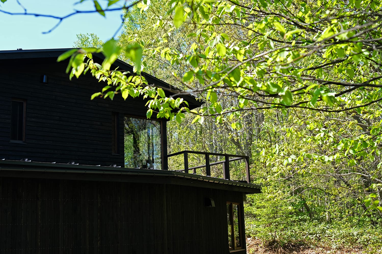 雑木林の新緑と黒い木の外壁の家