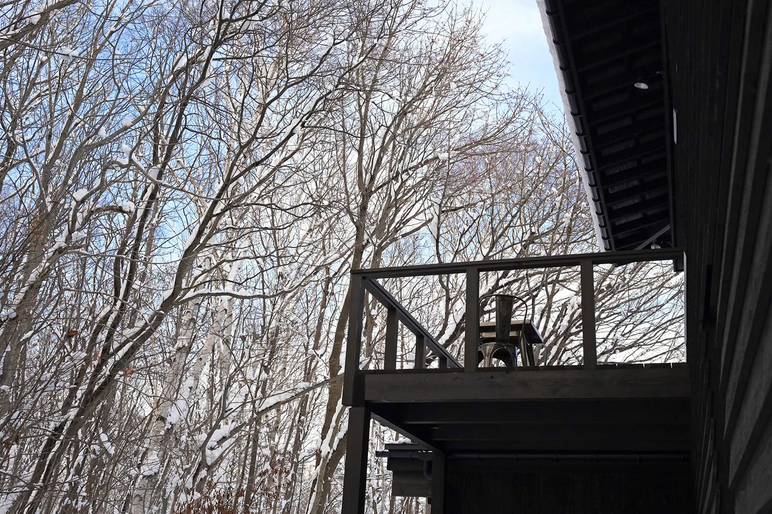 冬景色の雑木林とウッドデッキを見上げる