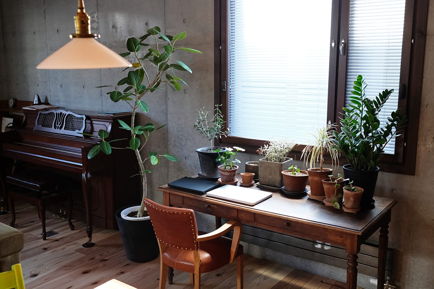 アンティークデーブルに置かれた観葉植物の鉢 グリーン ボタニカル