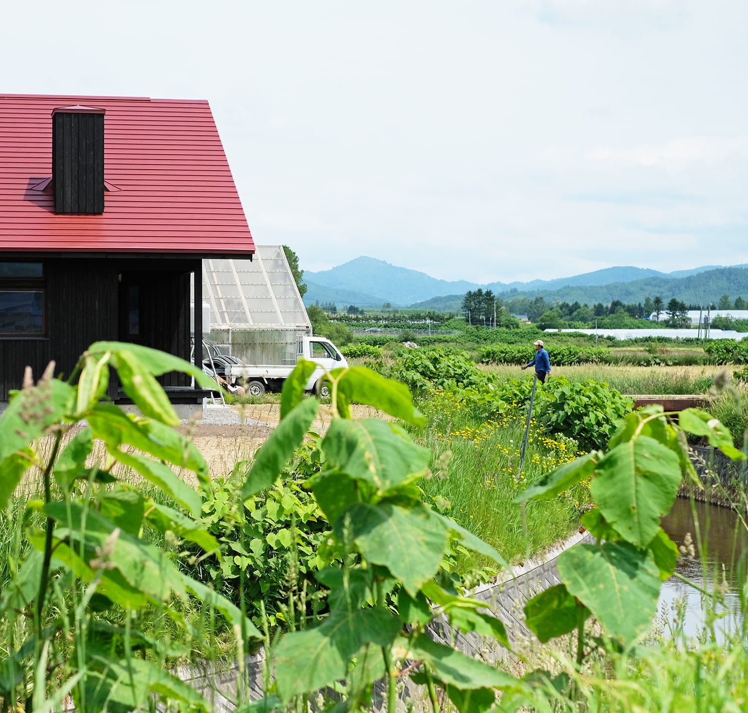 北海道の田園にある赤い屋根と黒い外壁の家