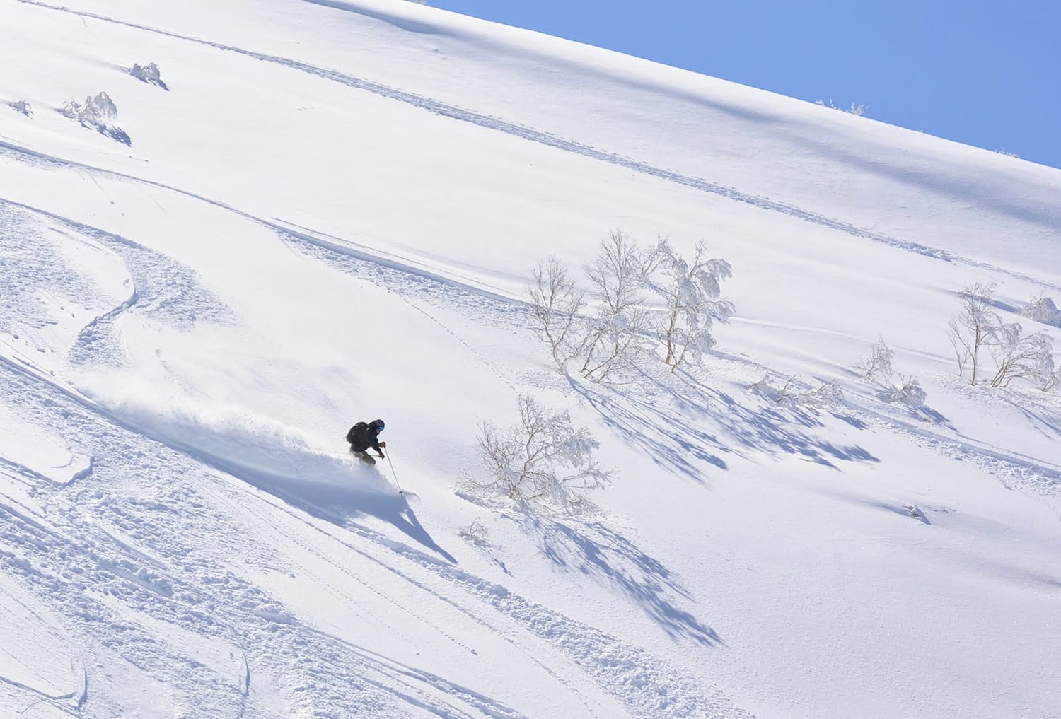 3月中旬の十勝岳連峰の三段山のパウダースノー斜面をスキーで滑り降りる