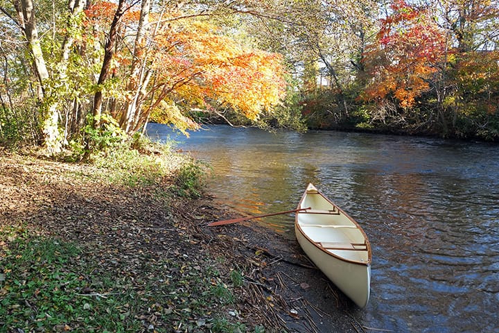 紅葉の千歳川の岸辺にカヌーをつける