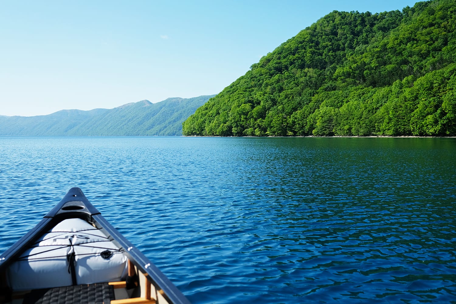 夏の新緑が濃く快晴青空の支笏湖でカナディアンカヌーを漕ぐ