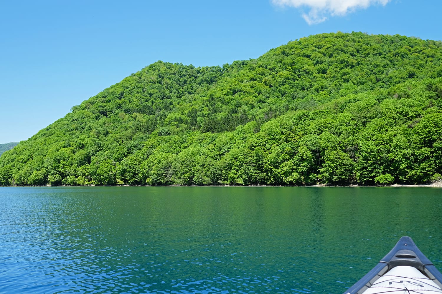 湖上のカナディアンカヌーから支笏湖モラップ山の新緑を正面に見る