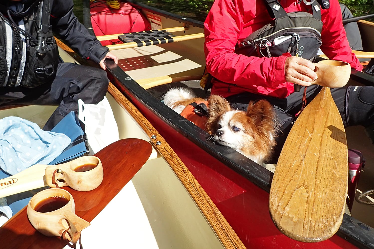 カヌーの上でコーヒーブレイク パピヨン犬も一緒に