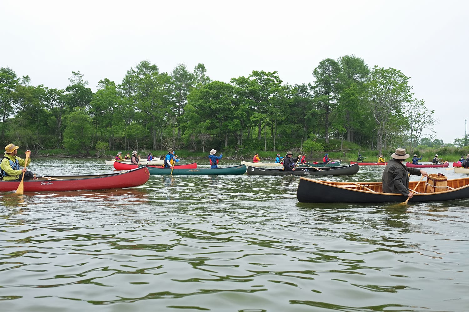 釧路川カヌーミーティングで塘路湖に浮かぶカナディアンカヌーの船団