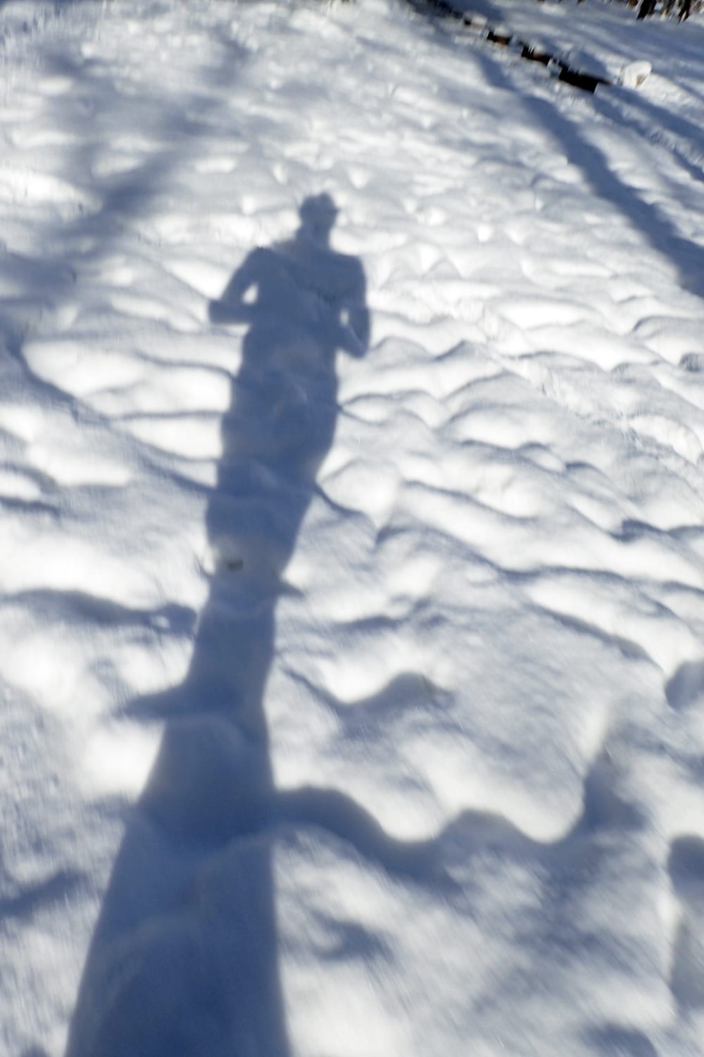 雪積もる円山公園で朝ランニングする