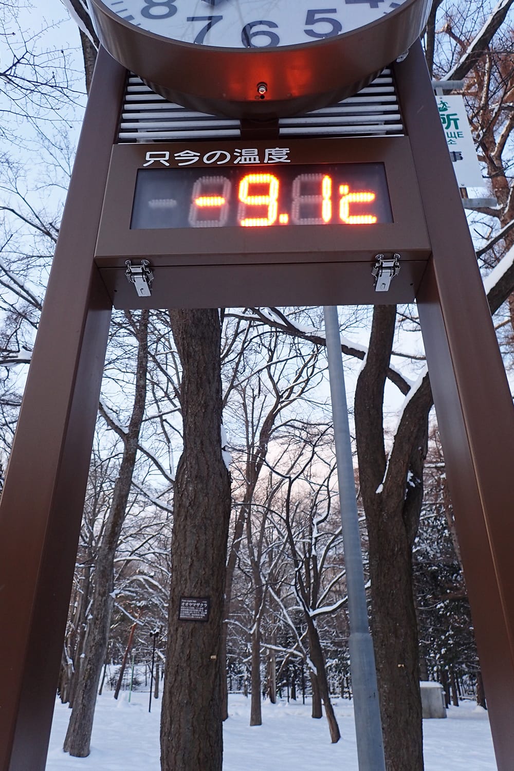 円山公園の真冬の朝 気温マイナス9℃