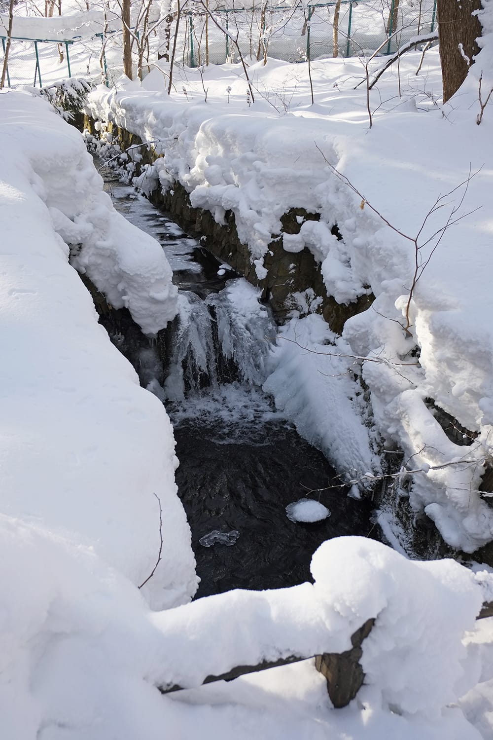 凍てつく円山川の流れ