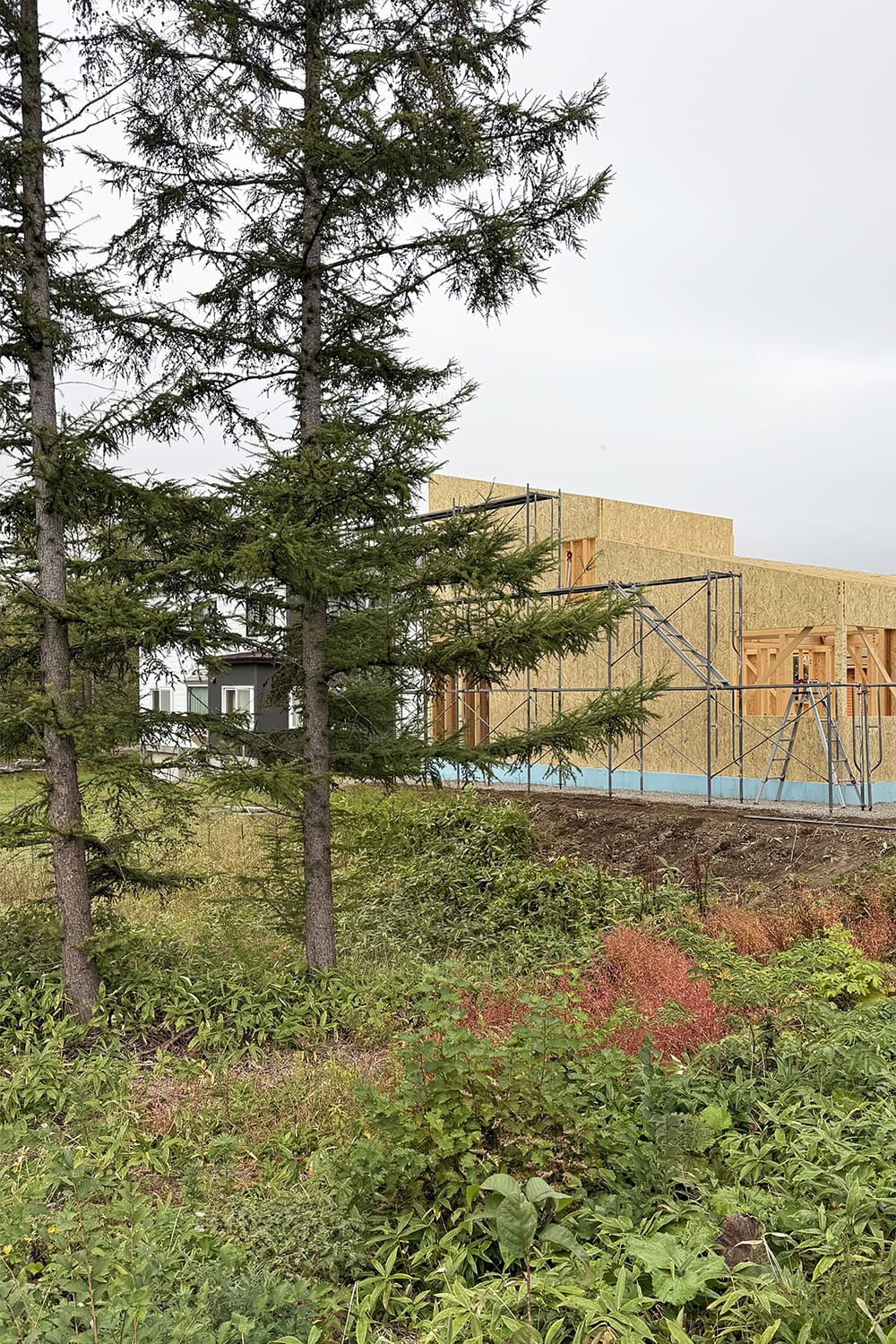 道東の中標津の家の外観とカラマツ